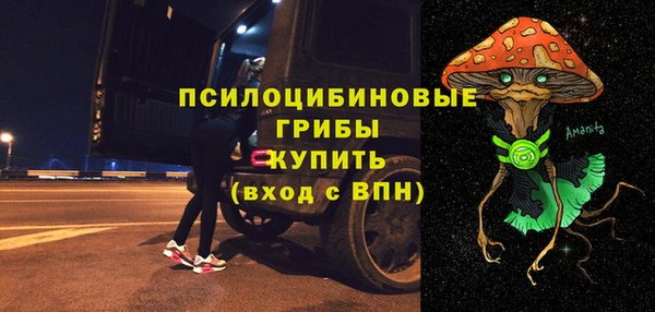 ПСИЛОЦИБИНОВЫЕ ГРИБЫ Алексин