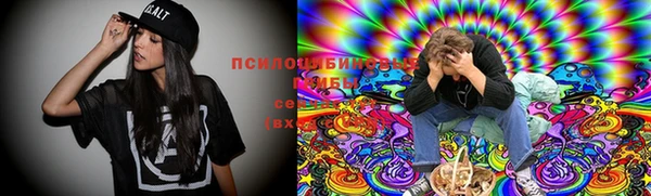 ПСИЛОЦИБИНОВЫЕ ГРИБЫ Алексин
