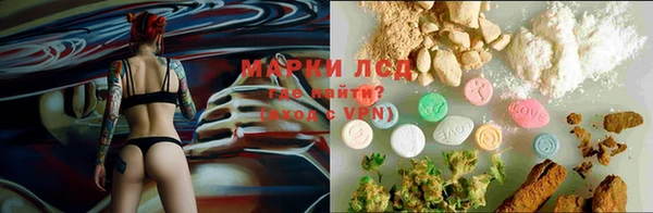 ПСИЛОЦИБИНОВЫЕ ГРИБЫ Алексин