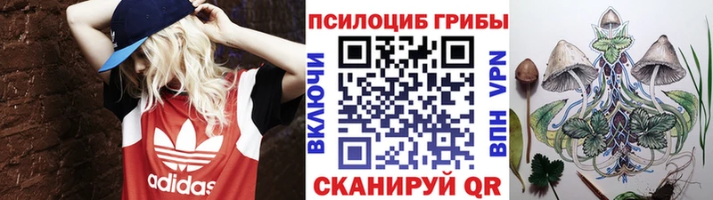 Псилоцибиновые грибы MAGIC MUSHROOMS  Бирск 